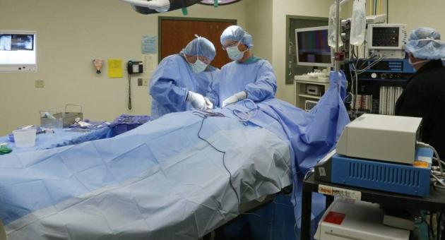 2942 routine major surgeries performed in last two months